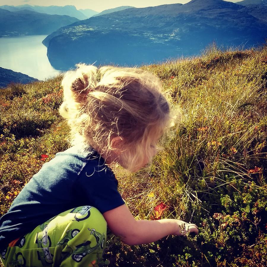 Oldevatn Camping Olden Bagian luar foto